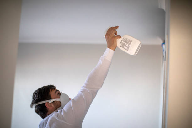 Best Preventive Mold Services in Merrionette Park, IL