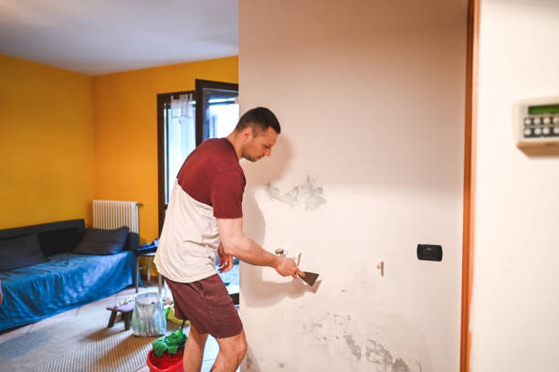 Best Bathroom Mold Remediation in Merrionette Park, IL