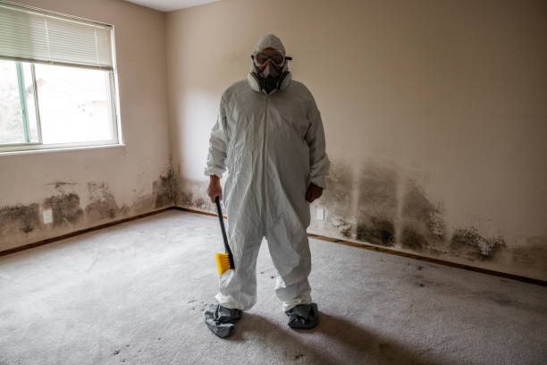 Best HVAC Mold Remediation in Merrionette Park, IL